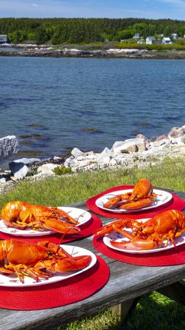 Road trip stop in Maine for famous lobster and coastal homes